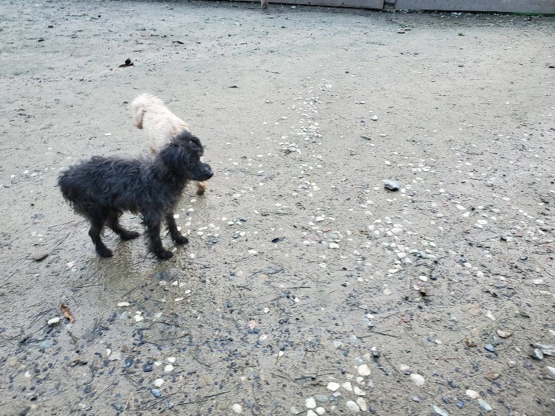f:id:roukenhome-ann:20191227191405j:plain