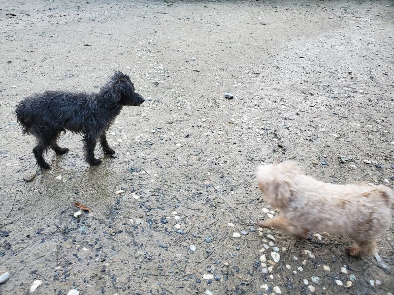 f:id:roukenhome-ann:20191227191416j:plain