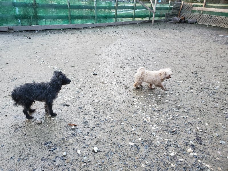 f:id:roukenhome-ann:20191227191448j:plain