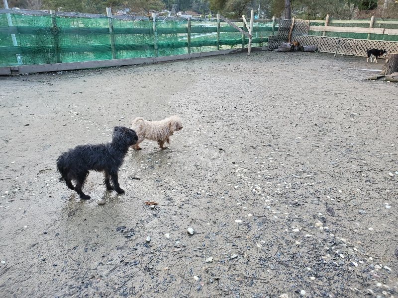 f:id:roukenhome-ann:20191227191501j:plain
