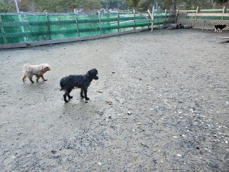 f:id:roukenhome-ann:20191227191510j:plain