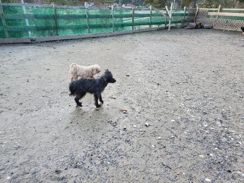 f:id:roukenhome-ann:20191227191519j:plain