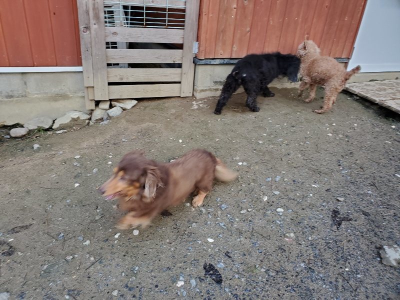 f:id:roukenhome-ann:20191227191529j:plain