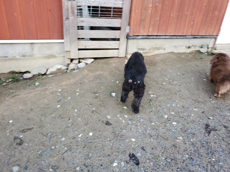 f:id:roukenhome-ann:20191227191538j:plain