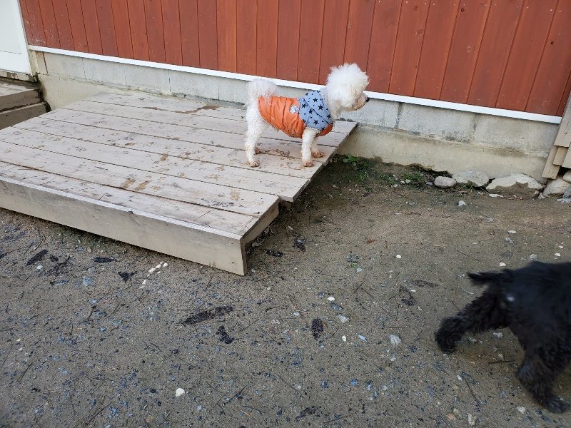 f:id:roukenhome-ann:20191227191548j:plain