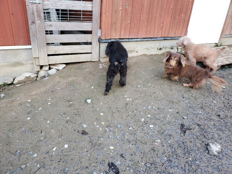 f:id:roukenhome-ann:20191227191556j:plain