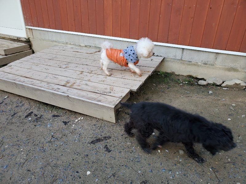 f:id:roukenhome-ann:20191227191605j:plain