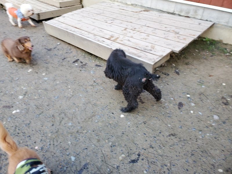 f:id:roukenhome-ann:20191227191620j:plain