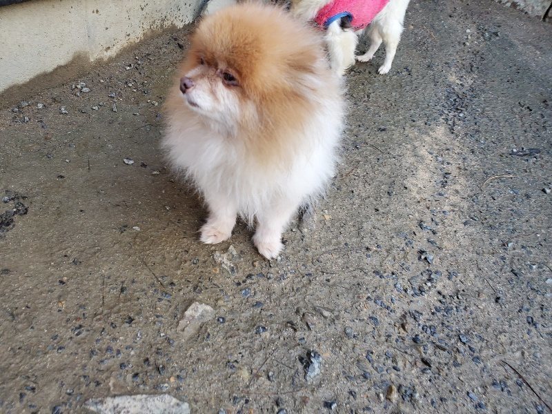 f:id:roukenhome-ann:20191227191837j:plain