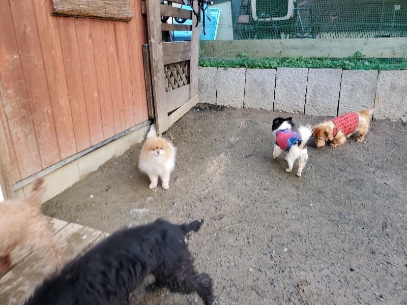 f:id:roukenhome-ann:20191227191849j:plain