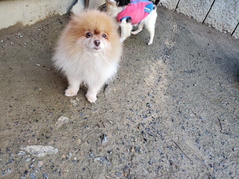 f:id:roukenhome-ann:20191227191909j:plain