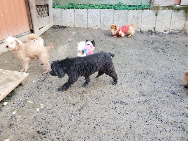 f:id:roukenhome-ann:20191227191929j:plain