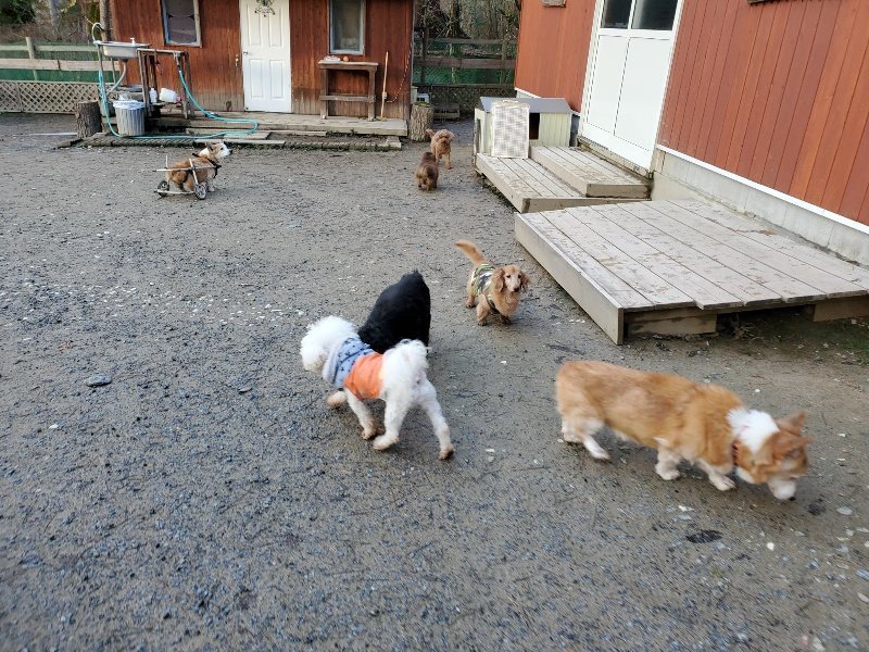 f:id:roukenhome-ann:20191227191943j:plain