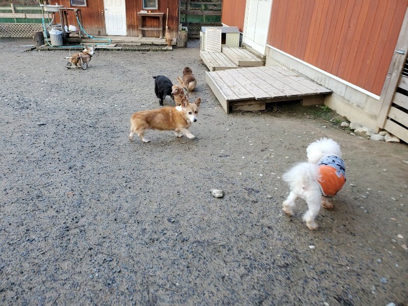 f:id:roukenhome-ann:20191227192018j:plain