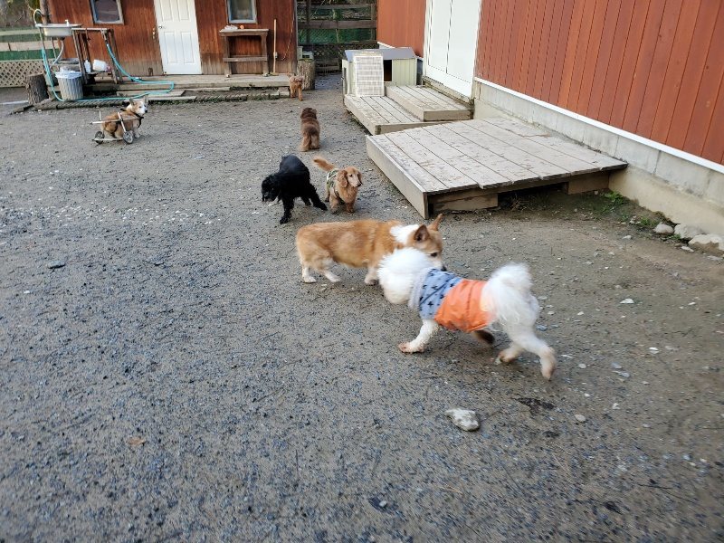 f:id:roukenhome-ann:20191227192032j:plain