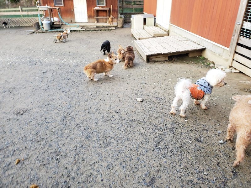 f:id:roukenhome-ann:20191227192050j:plain