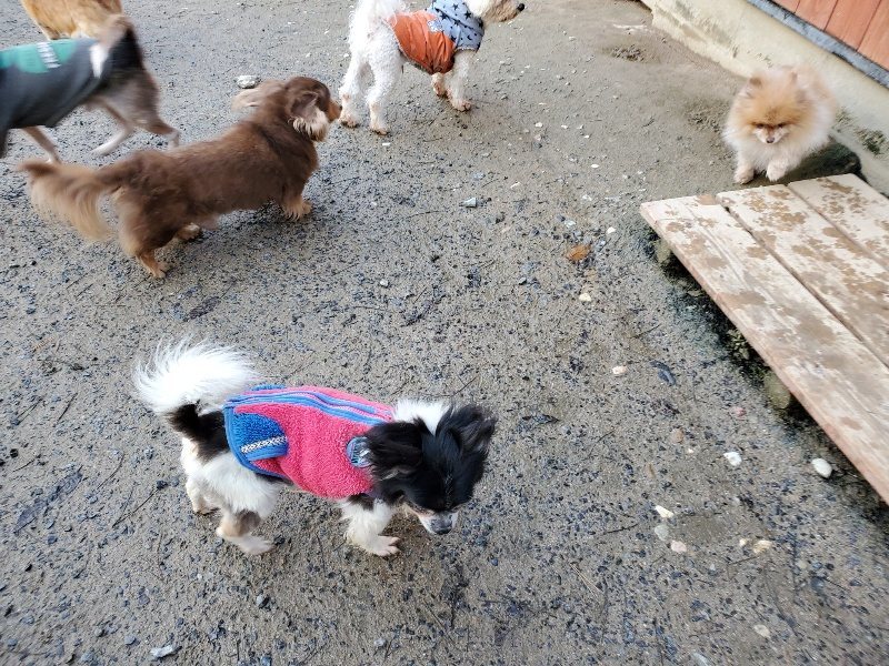 f:id:roukenhome-ann:20191227192110j:plain