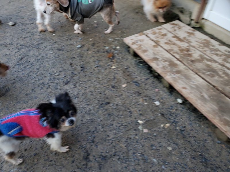 f:id:roukenhome-ann:20191227192125j:plain