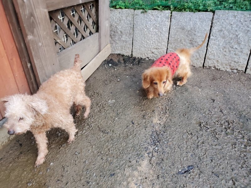 f:id:roukenhome-ann:20191227192137j:plain