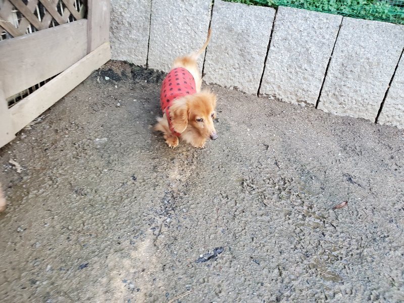 f:id:roukenhome-ann:20191227192147j:plain