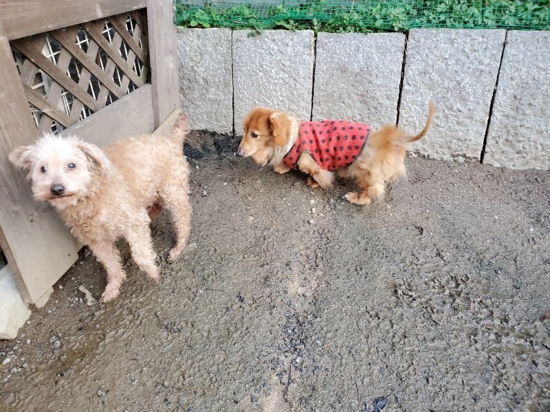 f:id:roukenhome-ann:20191227192206j:plain