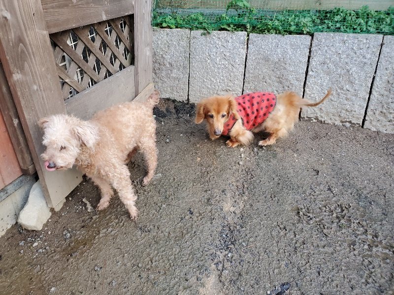 f:id:roukenhome-ann:20191227192222j:plain