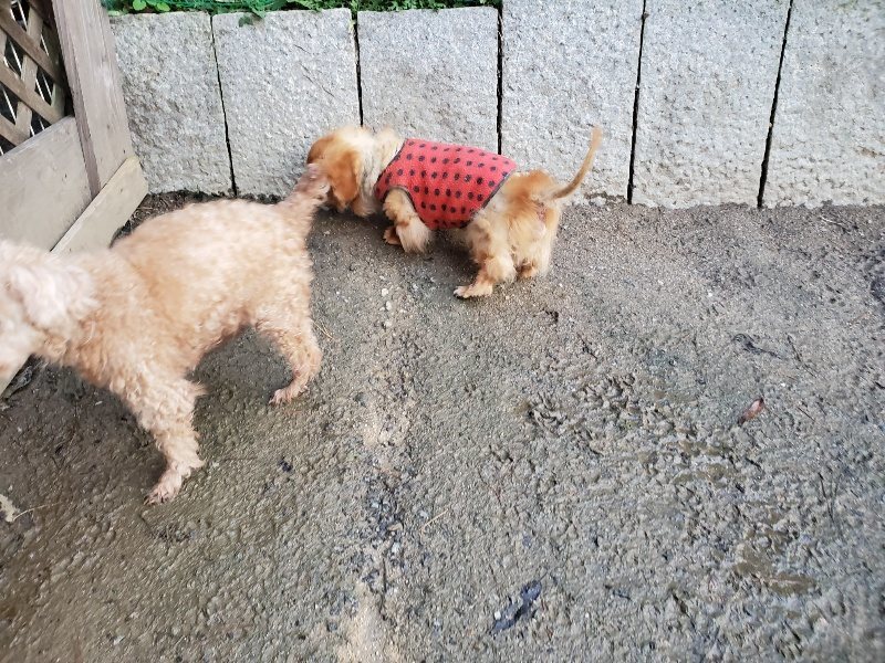 f:id:roukenhome-ann:20191227192321j:plain