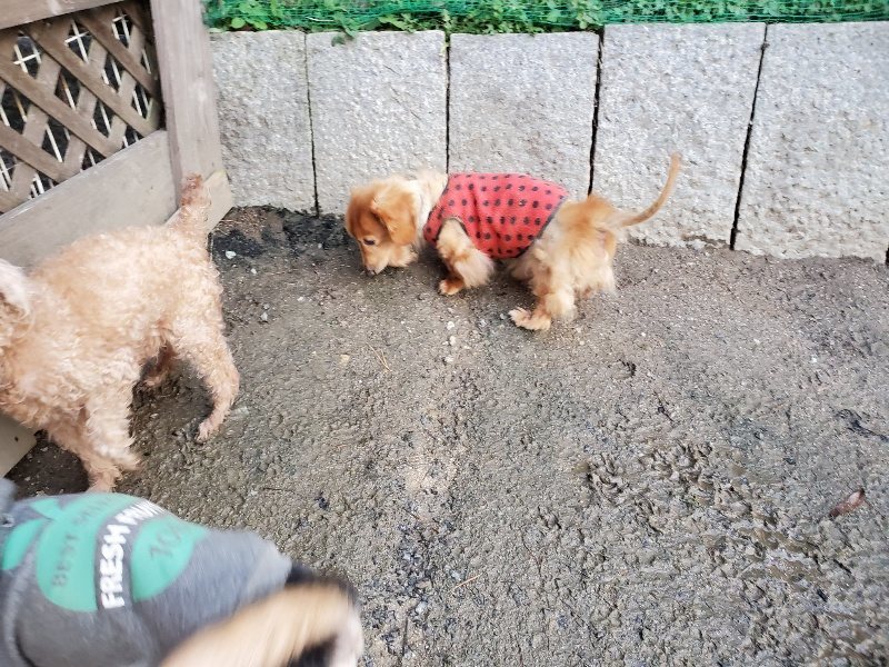 f:id:roukenhome-ann:20191227192348j:plain