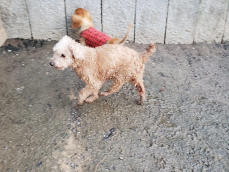 f:id:roukenhome-ann:20191227192424j:plain