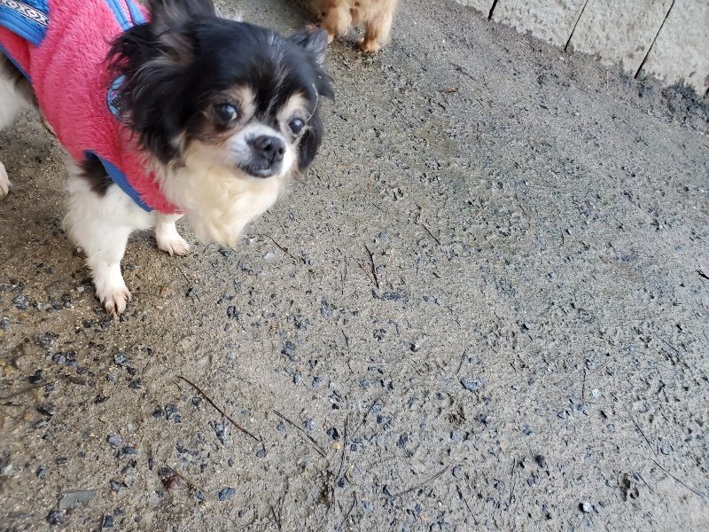 f:id:roukenhome-ann:20191227192509j:plain