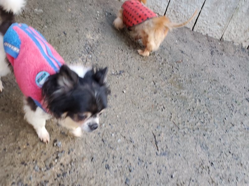 f:id:roukenhome-ann:20191227192521j:plain