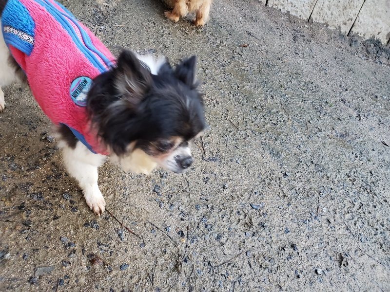 f:id:roukenhome-ann:20191227192543j:plain