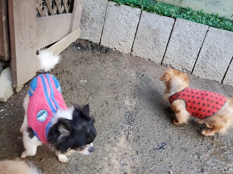 f:id:roukenhome-ann:20191227192602j:plain