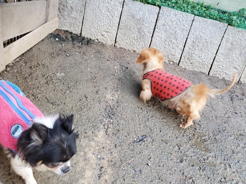 f:id:roukenhome-ann:20191227192625j:plain
