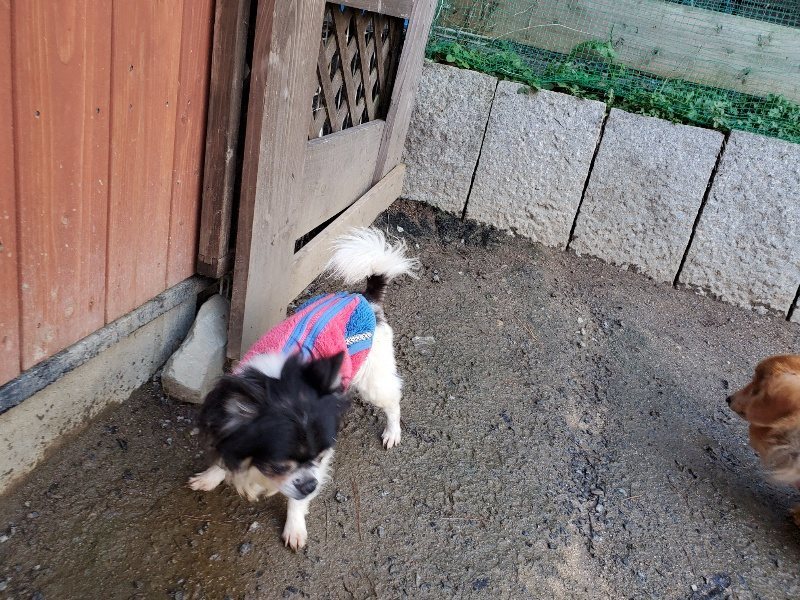 f:id:roukenhome-ann:20191227192707j:plain
