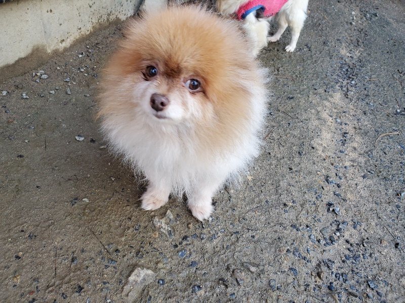 f:id:roukenhome-ann:20191227192742j:plain
