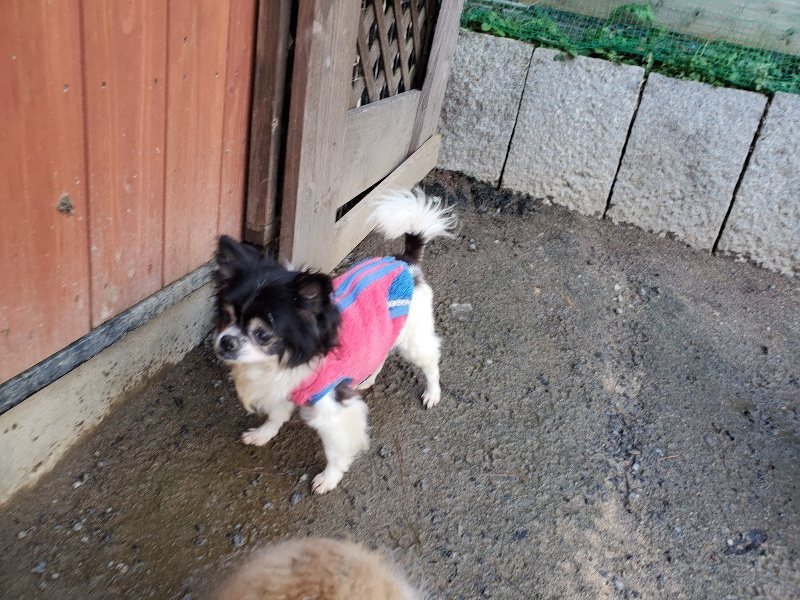 f:id:roukenhome-ann:20191227192807j:plain