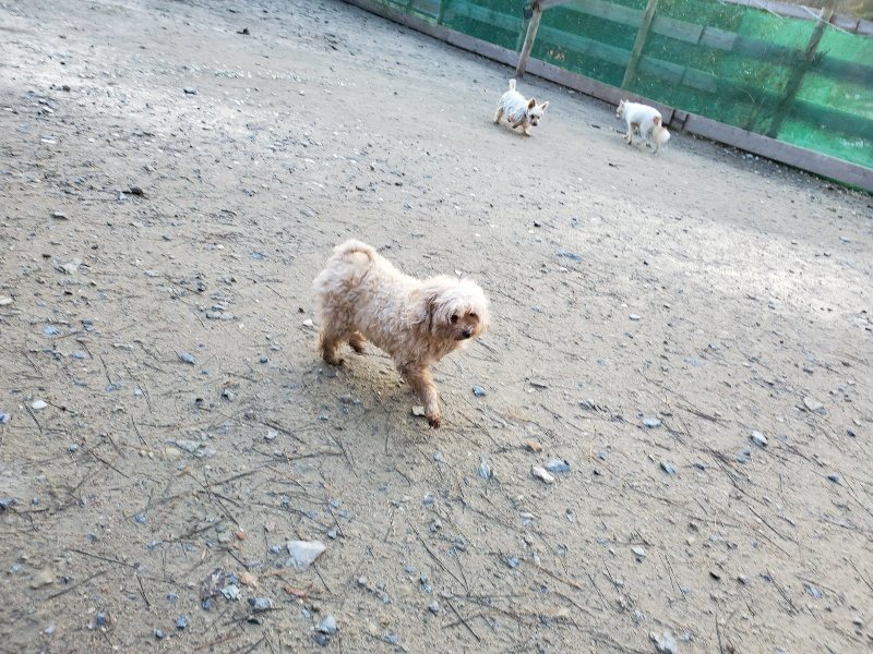 f:id:roukenhome-ann:20191227192915j:plain
