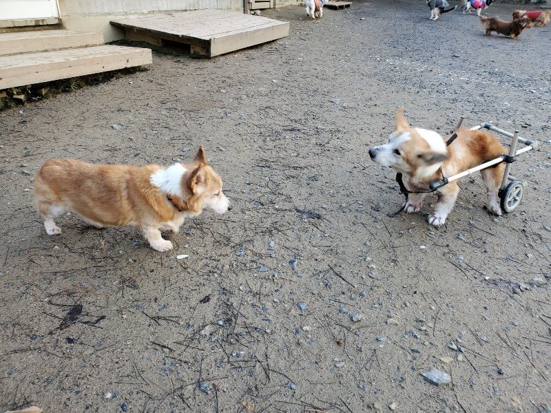 f:id:roukenhome-ann:20191227192927j:plain