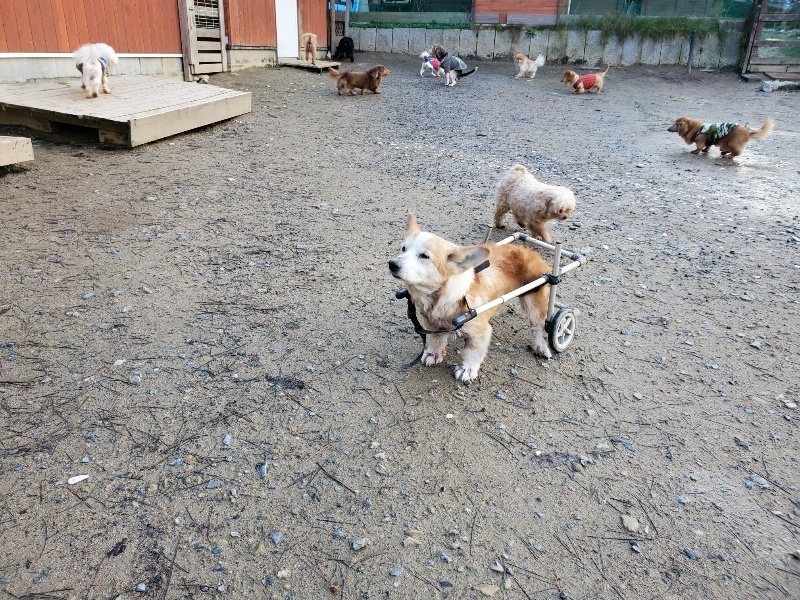 f:id:roukenhome-ann:20191227193004j:plain