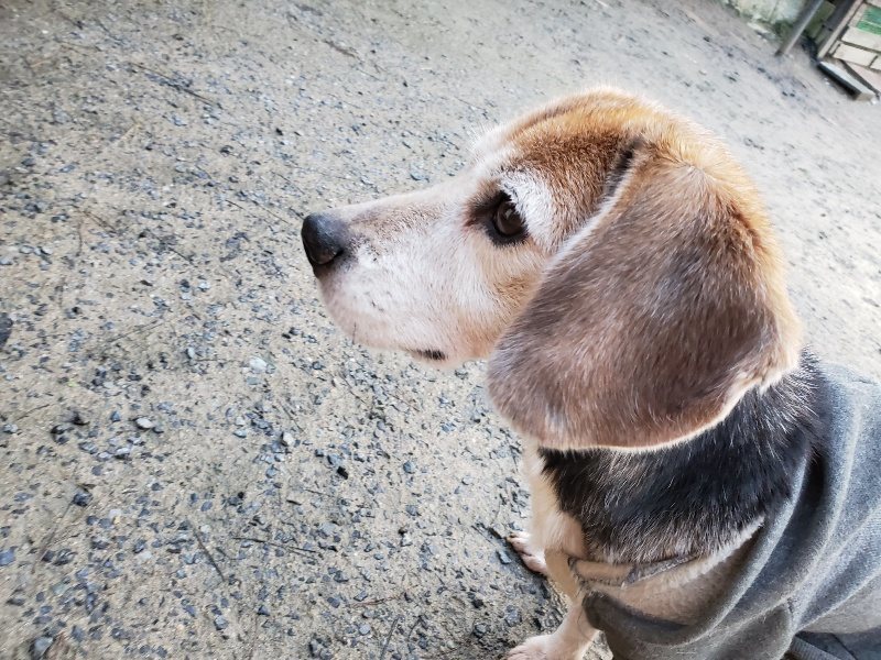 f:id:roukenhome-ann:20191227193021j:plain