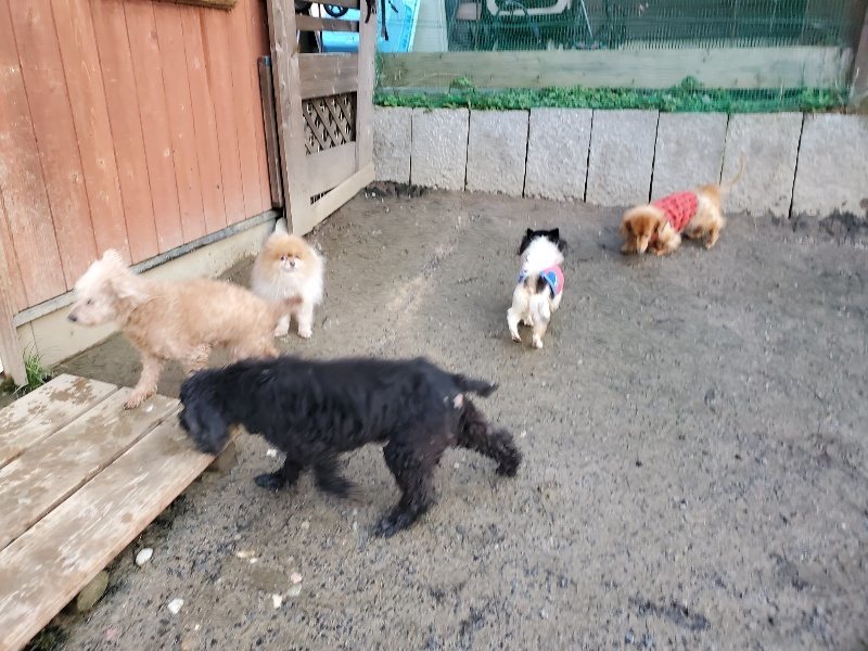 f:id:roukenhome-ann:20191227193030j:plain