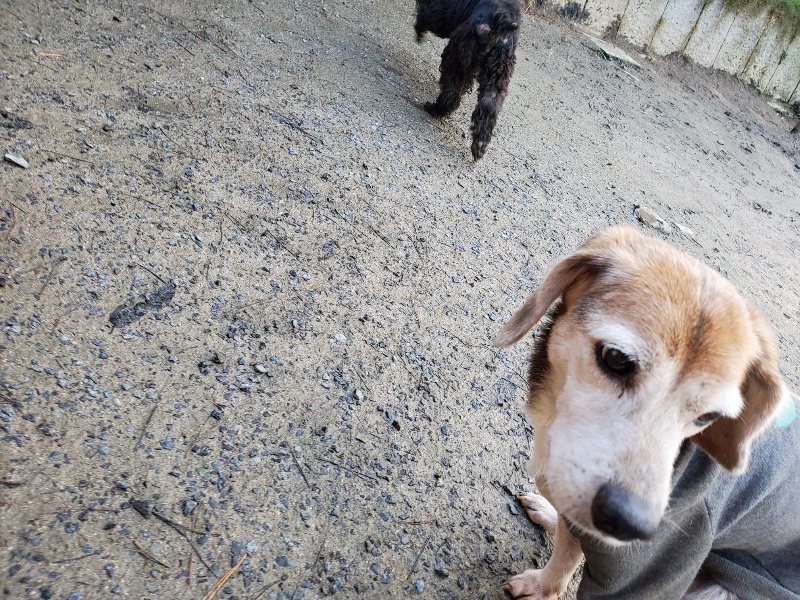 f:id:roukenhome-ann:20191227193046j:plain
