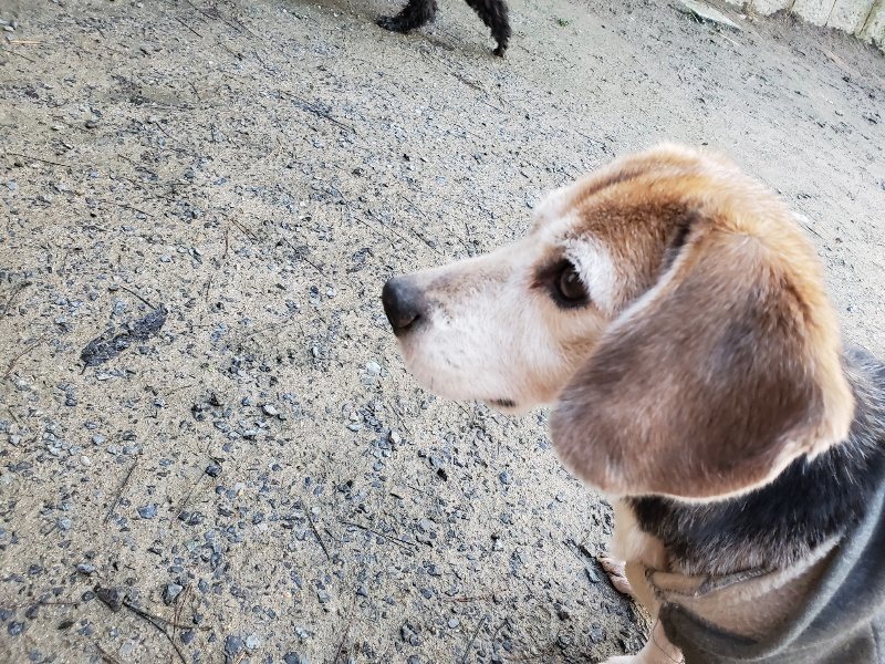 f:id:roukenhome-ann:20191227193102j:plain