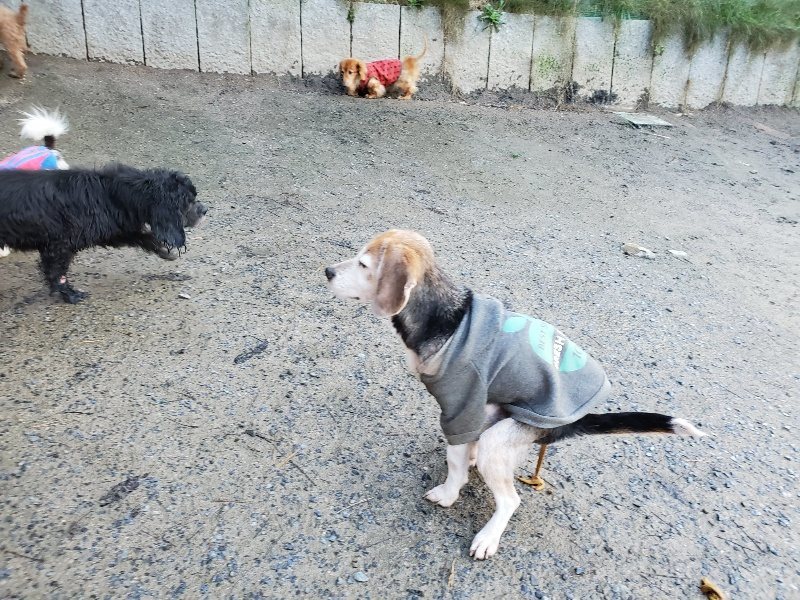 f:id:roukenhome-ann:20191227193123j:plain