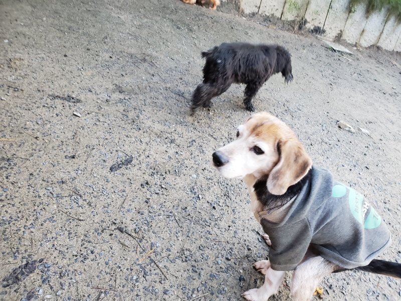 f:id:roukenhome-ann:20191227193139j:plain