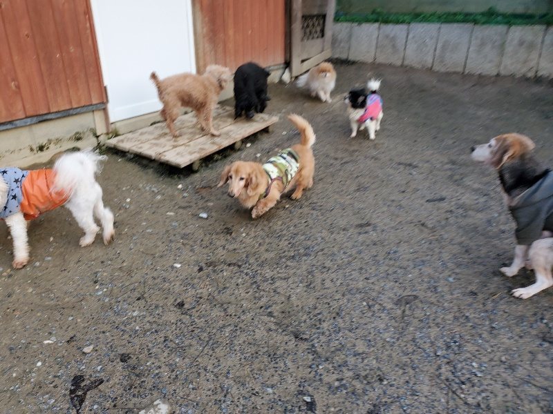 f:id:roukenhome-ann:20191227193214j:plain