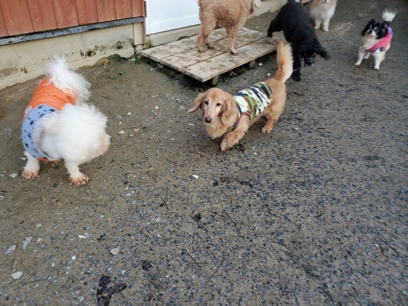 f:id:roukenhome-ann:20191227193231j:plain