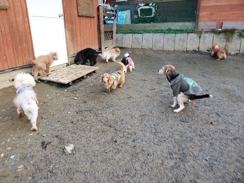 f:id:roukenhome-ann:20191227193254j:plain