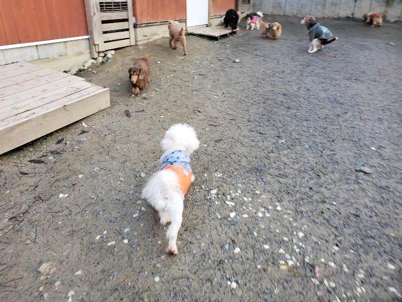 f:id:roukenhome-ann:20191227193306j:plain